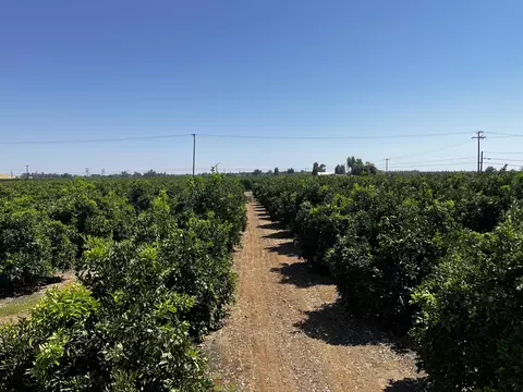 Other - Hwy 216, Ivanhoe, CA 93235 photo 1 of 9