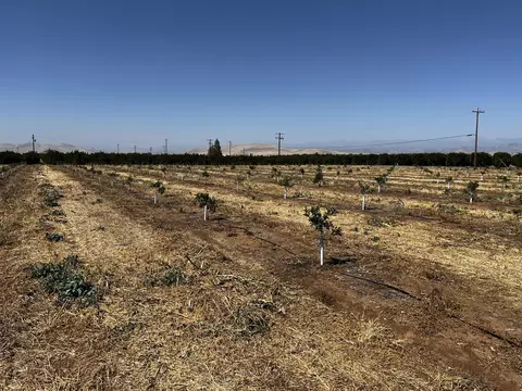 Other - Hwy 216, Ivanhoe, CA 93235 photo 2 of 9