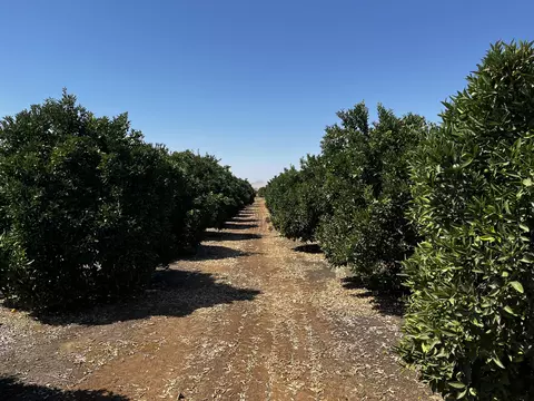 Exterior - Hwy 216, Ivanhoe, CA 93235 photo 2 of 3