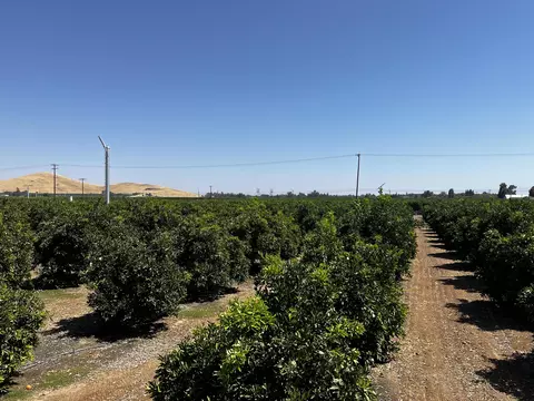 View/Area - Hwy 216, Ivanhoe, CA 93235 photo 2 of 2