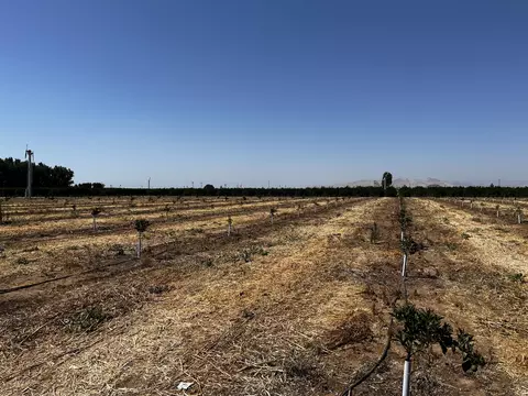 Other - Hwy 216, Ivanhoe, CA 93235 photo 4 of 9