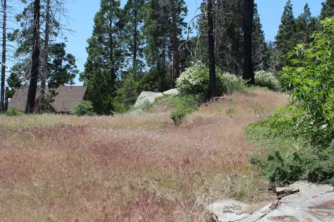 52954 Alpine Dr, Springville, CA 93265 photo 3