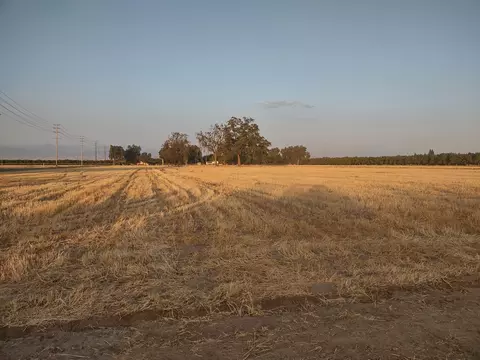 Lovers Lane, Visalia, CA 93292