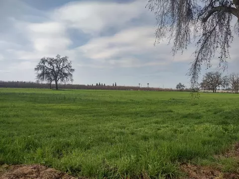 Lovers Lane, Visalia, CA 93292