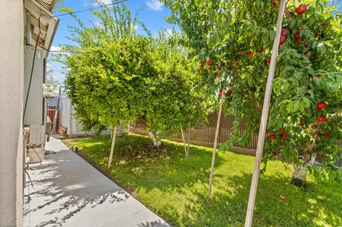 Exterior - 39688 Rd 56, Dinuba, CA 93618 photo 7 of 8