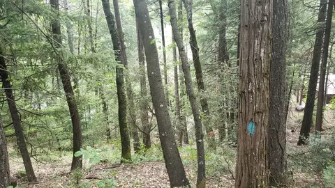 00 Upper River Ave St, Dunsmuir, CA 96025