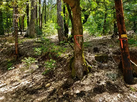 Upper River Avenue, Dunsmuir, CA 96025
