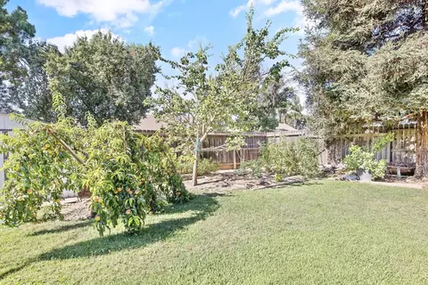 Exterior - 514 S Francis Ave, Exeter, CA 93221 photo 18 of 21