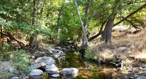 000 Whitaker Forest Rd, Miramonte, CA 93641 photo 11
