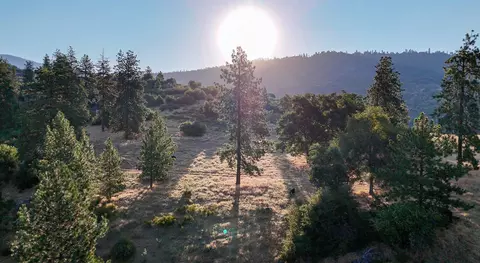000 Whitaker Forest Rd, Miramonte, CA 93641 photo 7