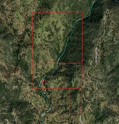 000 Whitaker Forest Rd, Miramonte, CA 93641 photo 13