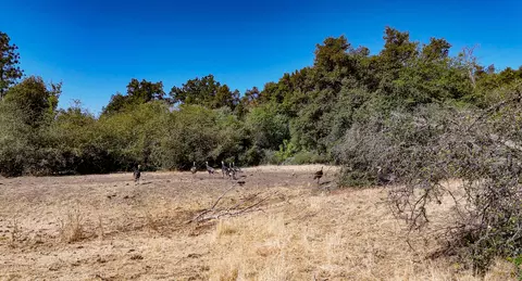 000 Whitaker Forest Rd, Miramonte, CA 93641 photo 6