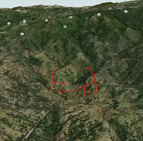 000 Whitaker Forest Rd, Miramonte, CA 93641 photo 12