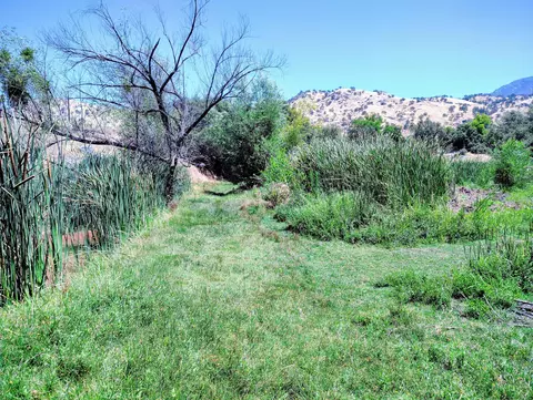 33819 Globe Dr #C, Springville, CA 93265 photo 21