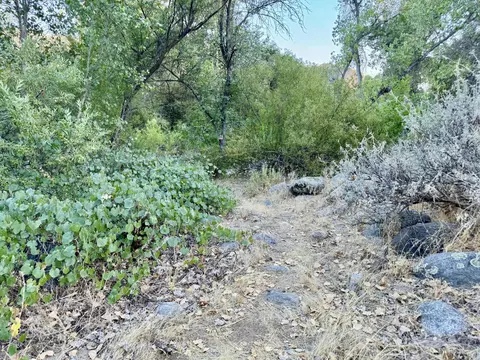Other - 43600 Kaweah River Drive Dr, Three Rivers, CA 93271 photo 13 of 13