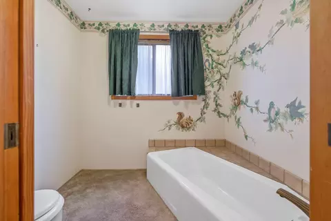 Bath - 43600 Kaweah River Drive Dr, Three Rivers, CA 93271 photo 7 of 7