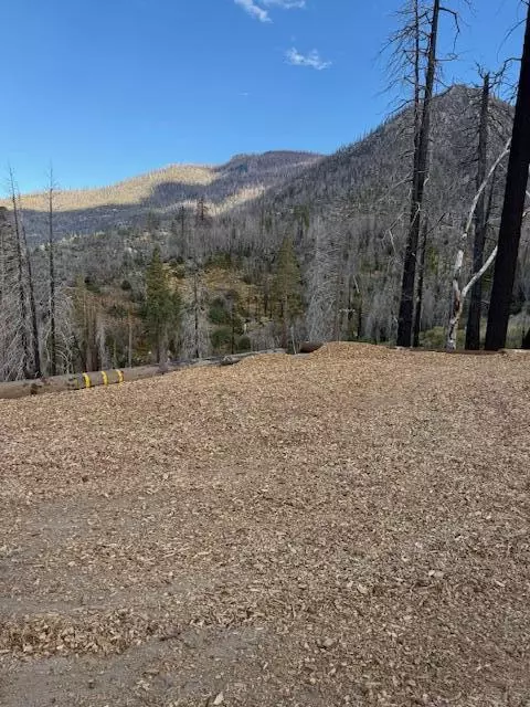 Redwood Drive, Cedar Slope, CA 93265
