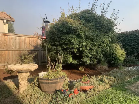 Exterior - 3113 E Beech Ct, Visalia, CA 93292 photo 9 of 26