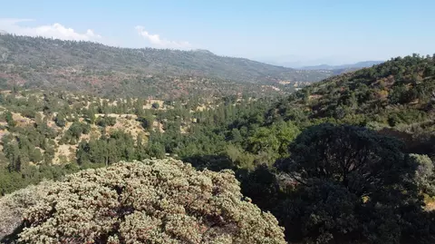 View/Area - 52925 Hogback Rd, Miramonte, CA 93641 photo 7 of 7