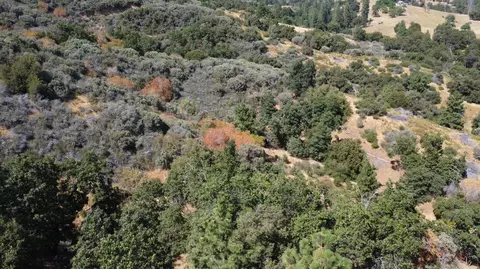 Other - 52925 Hogback Rd, Miramonte, CA 93641 photo 24 of 33