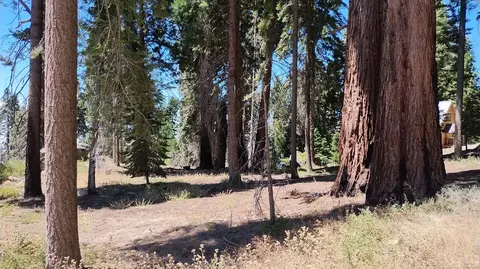 54534 Manzanita Dr, Sequoia Crest, CA 93265