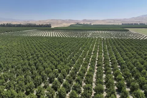 Other - 0 General Beale Rd, Arvin, CA 93203 photo 3 of 10