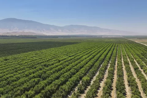 Other - 0 General Beale Rd, Arvin, CA 93203 photo 4 of 10