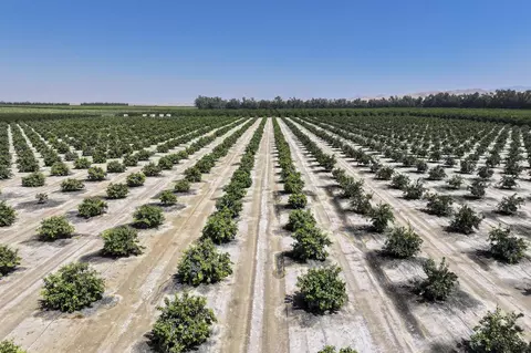Other - 0 General Beale Rd, Arvin, CA 93203 photo 8 of 10