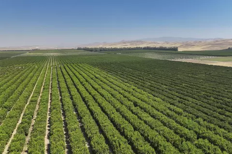 Other - 0 General Beale Rd, Arvin, CA 93203 photo 2 of 10