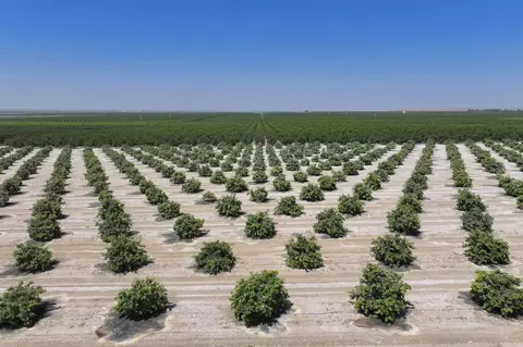 Other - 0 General Beale Rd, Arvin, CA 93203 photo 10 of 10