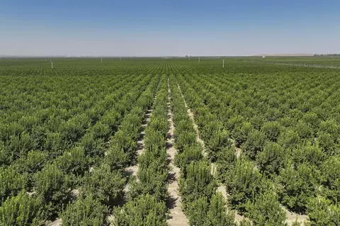 Other - 0 General Beale Rd, Arvin, CA 93203 photo 6 of 10