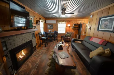 Living - 620 Loop Dr, Springville, CA 93265 photo 7 of 7