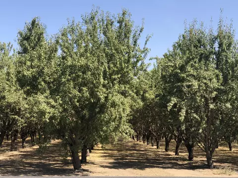 000 W Marinette Ave, Exeter, CA 93221 photo 6