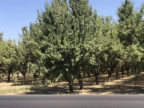 000 W Marinette Ave, Exeter, CA 93221 photo 4