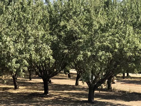 000 W Marinette Ave, Exeter, CA 93221 photo 3