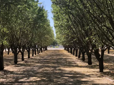 000 W Marinette Ave, Exeter, CA 93221