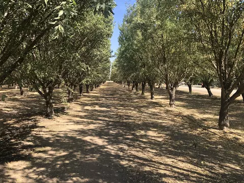 000 W Marinette Ave, Exeter, CA 93221 photo 2