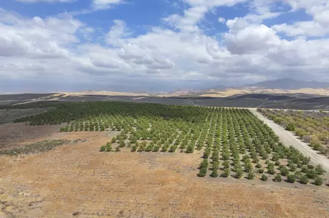 Other - 0 Ave 2, Ducor, CA 93218 photo 7 of 9