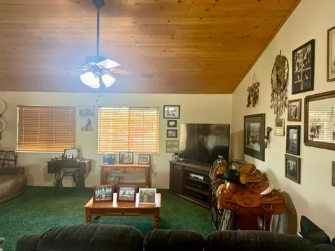 15434 Ave 330, Ivanhoe, CA 93235 photo 12