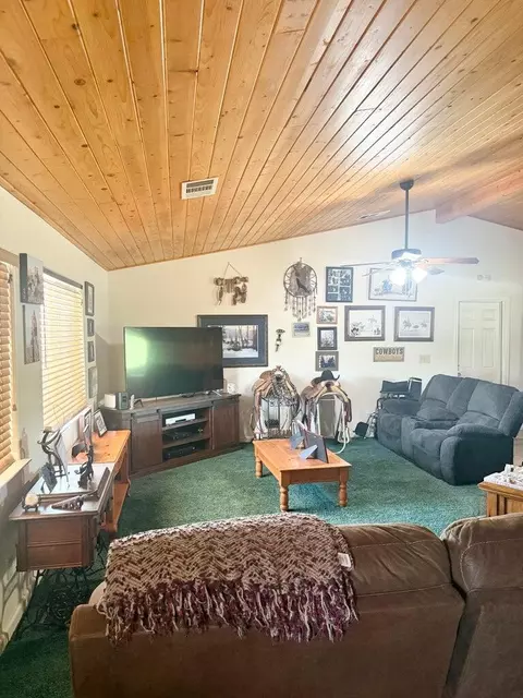 15434 Ave 330, Ivanhoe, CA 93235 photo 9