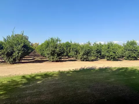 15434 Ave 330, Ivanhoe, CA 93235 photo 3
