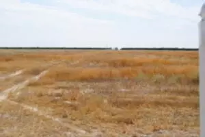 Ave 16, Allensworth, CA 93219