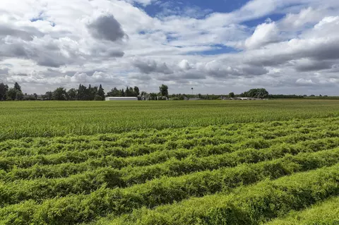 Other - 0 Rd 140, Visalia, CA 93292 photo 5 of 8