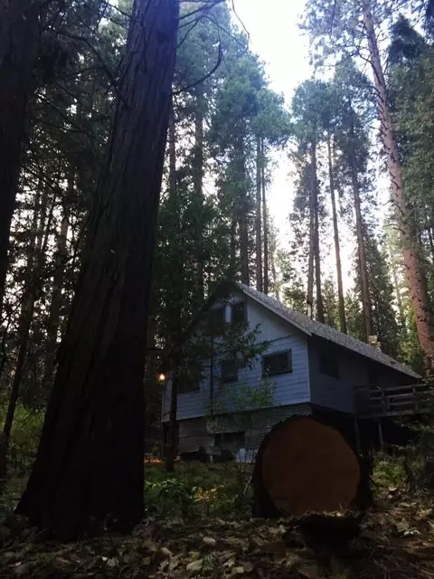 Exterior - 2115 Ferguson Dr, Camp Nelson, CA 93265 photo 1 of 12
