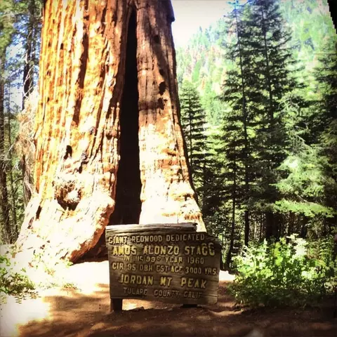 Other - 2115 Ferguson Dr, Camp Nelson, CA 93265 photo 7 of 7