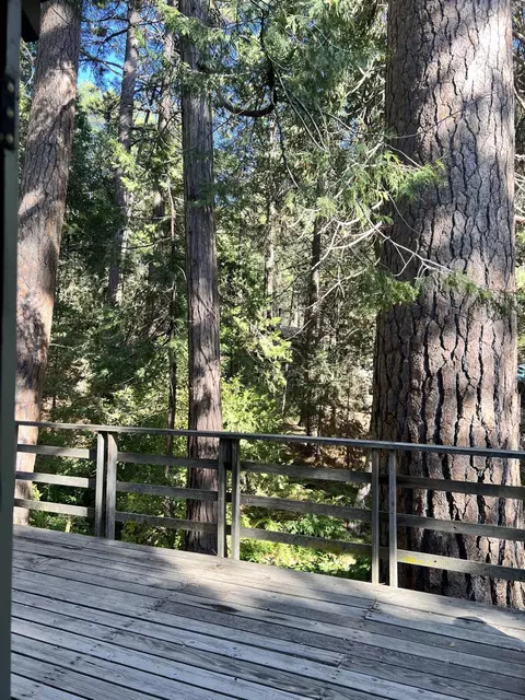 Exterior - 2115 Ferguson Dr, Camp Nelson, CA 93265 photo 6 of 12