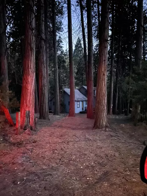 Exterior - 2115 Ferguson Dr, Camp Nelson, CA 93265 photo 9 of 12