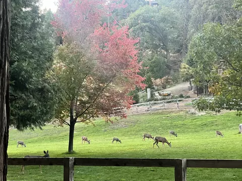 Other - 2115 Ferguson Dr, Camp Nelson, CA 93265 photo 2 of 7