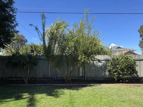 Exterior - 523 N Locust St, Visalia, CA 93291 photo 20 of 27