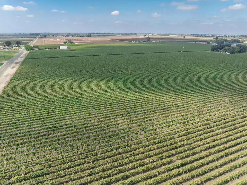  21846 Fremont Ave, Lemoore, CA 93245 photo 17